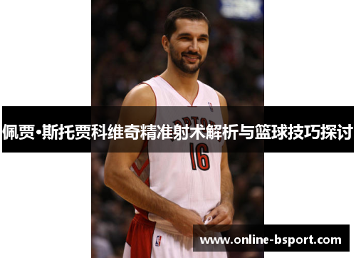 佩贾·斯托贾科维奇精准射术解析与篮球技巧探讨