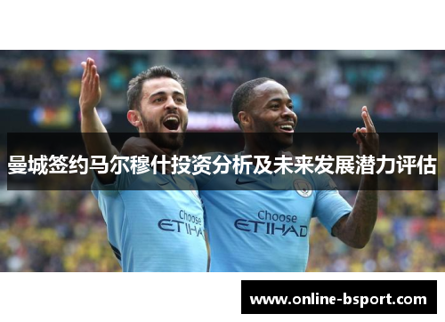 曼城签约马尔穆什投资分析及未来发展潜力评估